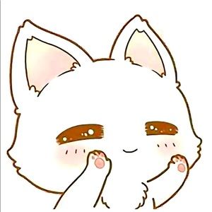 Meet your Posher, Jin